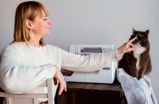 The Expert Guide to Choosing the Best Cat Litter for Your Feline Friends